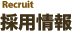 �̗p���